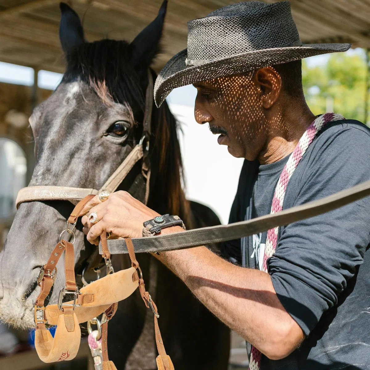Cavezza per Cavallo Corda Intrecciata, Regolabile, Pu, Equitazione