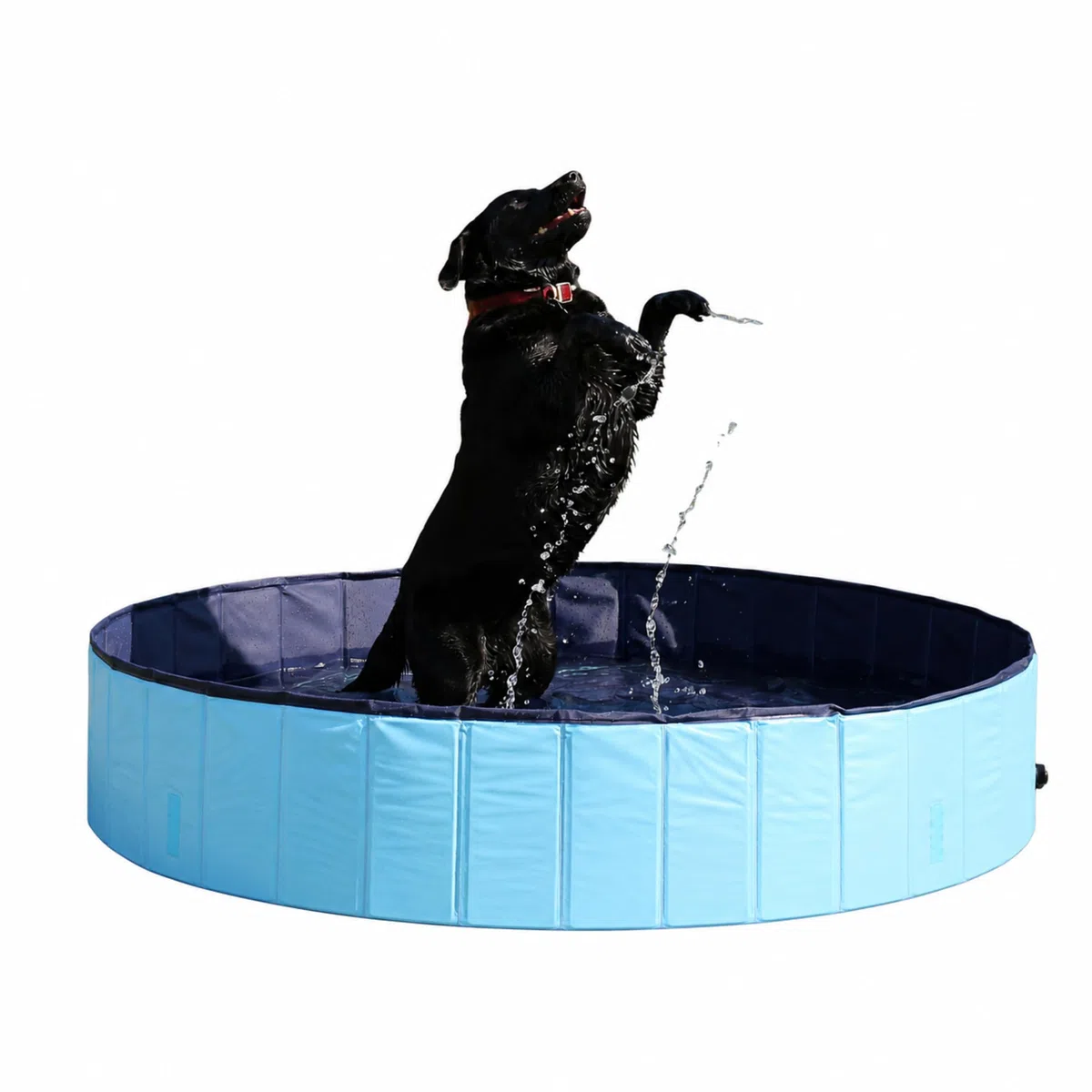 Rosewood Cool Down - Piscina per Cani, 120 x 30 cm, Media