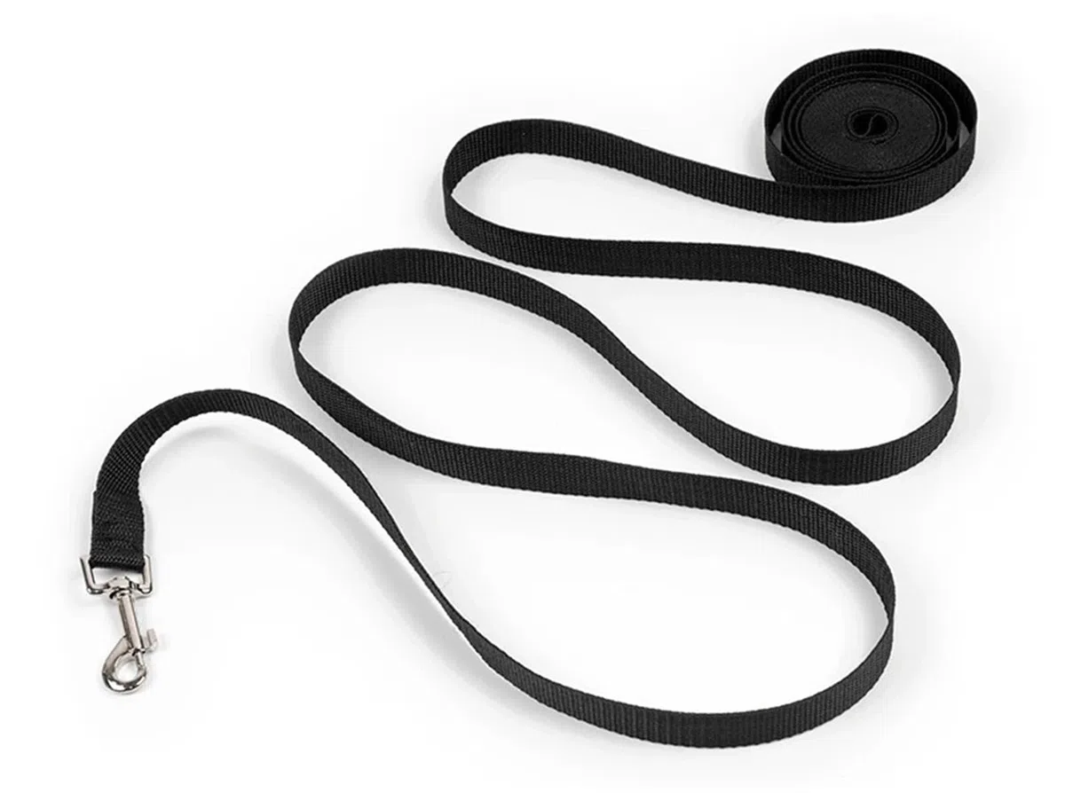 Guinzagli in nylon for cani da 3-50 m, guinzaglio lungo for addestramento cani e gatti(4,50m)