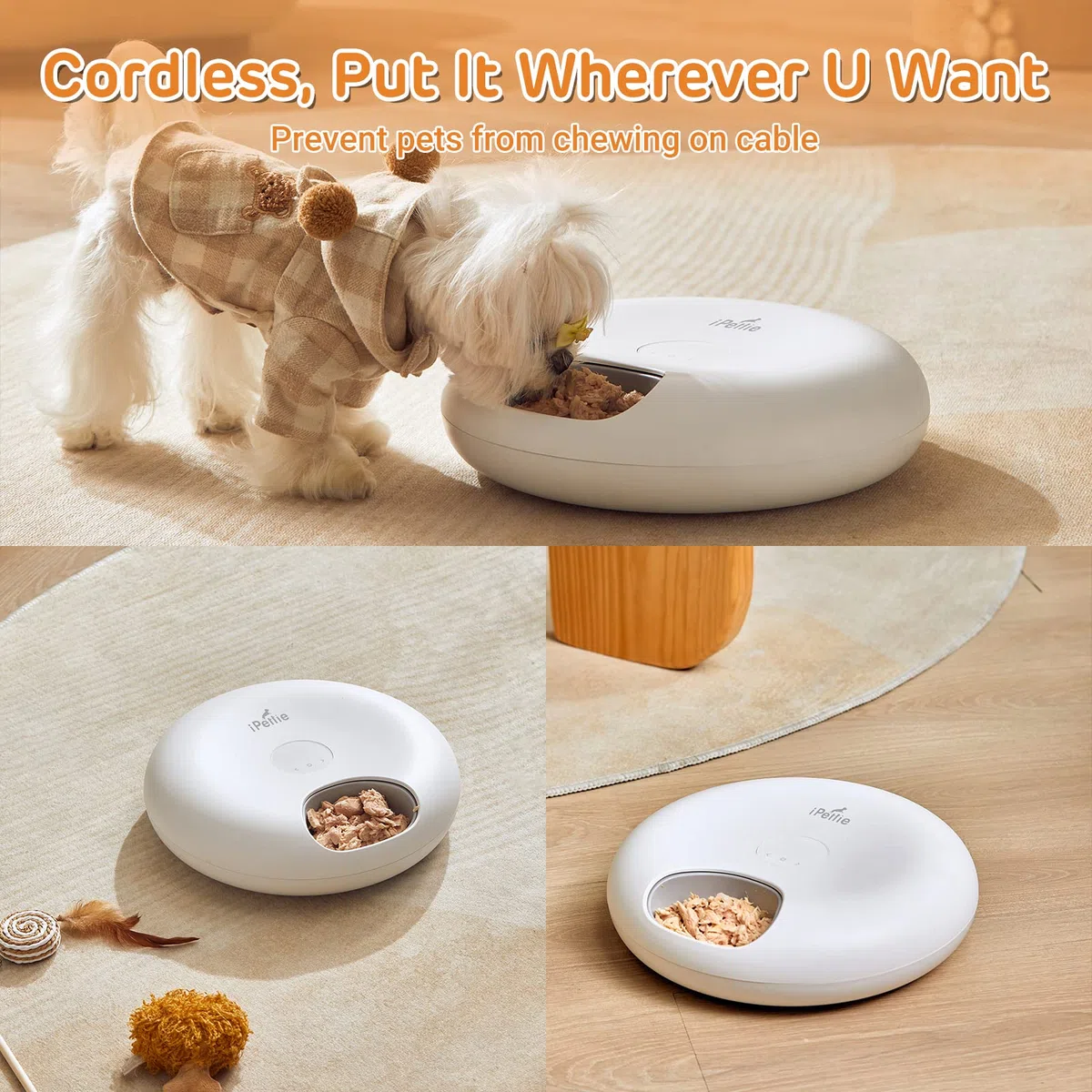 iPettie Donut Frost - Alimentatore automatico per animali domestici senza fili, per 6 pasti, cibo secco e umido, con due confezioni di ghiaccio, batteria massiccia ricaricabile, timer programmabile,