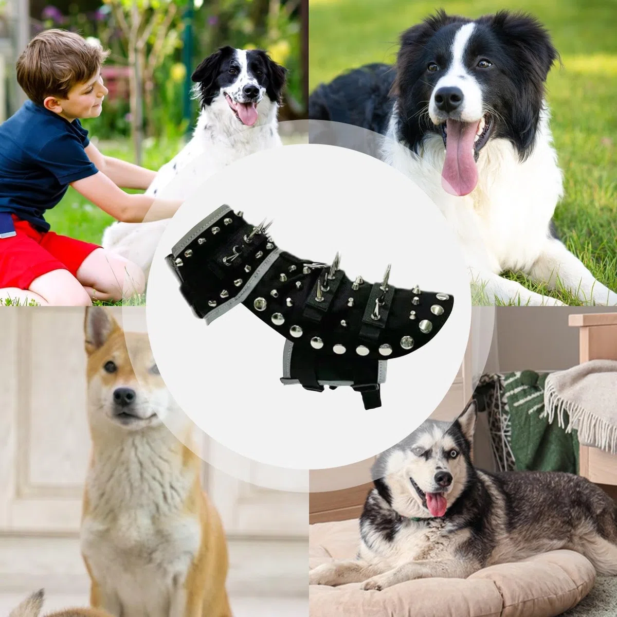 Spillo Dog Vest riflettente Anti Coyote Raptor Dog Protection Vest