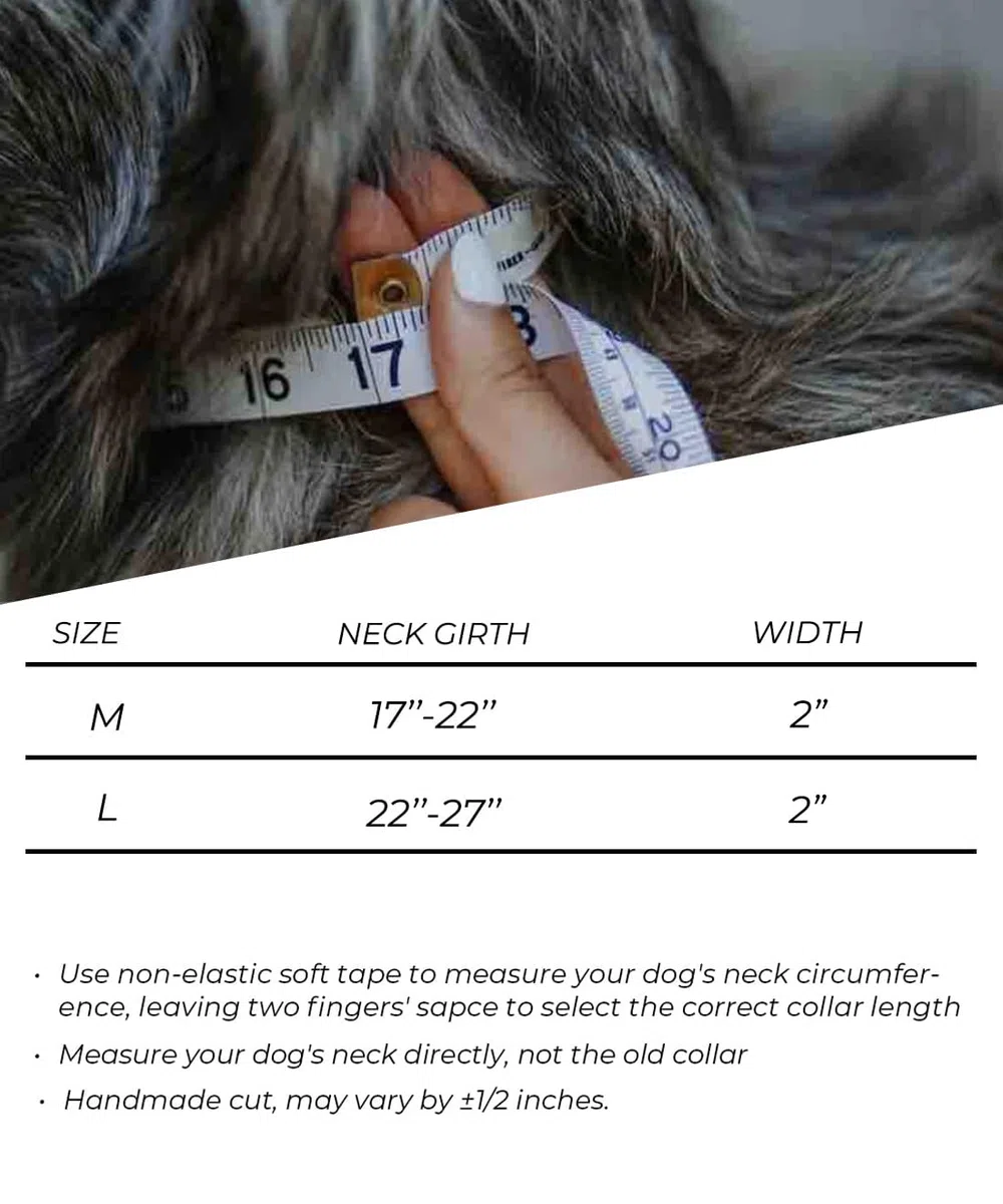 Collare per cani di taglia grande, nero resistente, per cani di razza Gint, largo 5,1 cm con manico, in nylon resistente e hardware inossidabile, ottima scelta per cani di taglia grande 55,9-68,6 cm