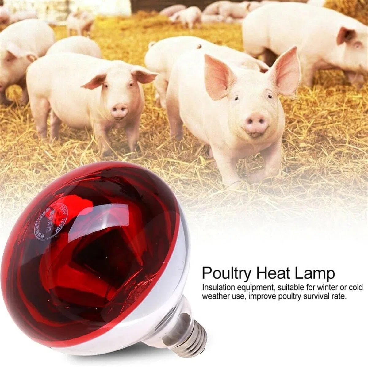 Lampada Di Calore A Infrarossi, Lampada Di Calore A Infrarossi Da 2 Pezzi for Polli, Lampadina Di Calore A Infrarossi Spessa for Maiale Suinetto Allevatrice for Animali Domestici Pollaio Anatra, Lampa