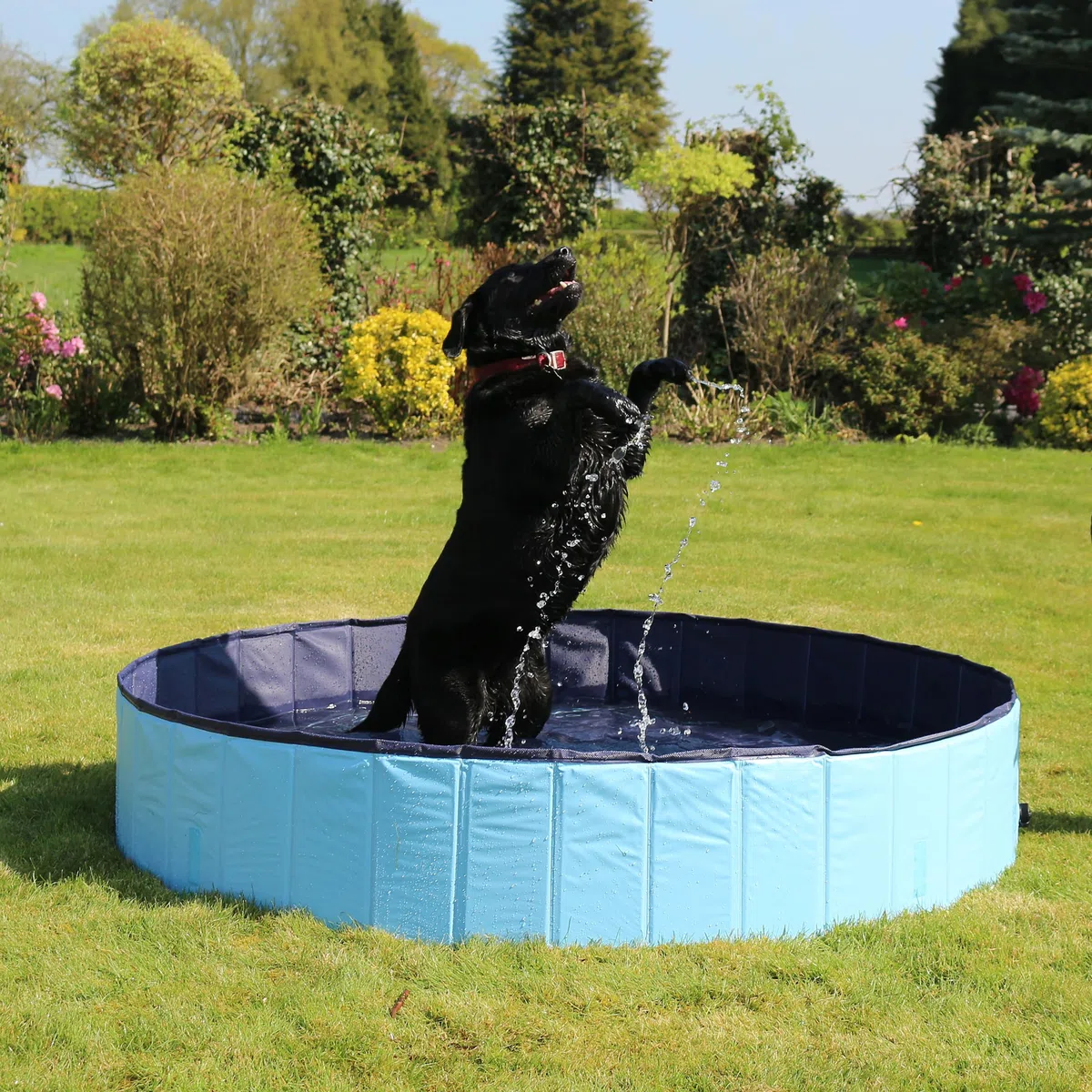 Rosewood Cool Down - Piscina per Cani, 120 x 30 cm, Media