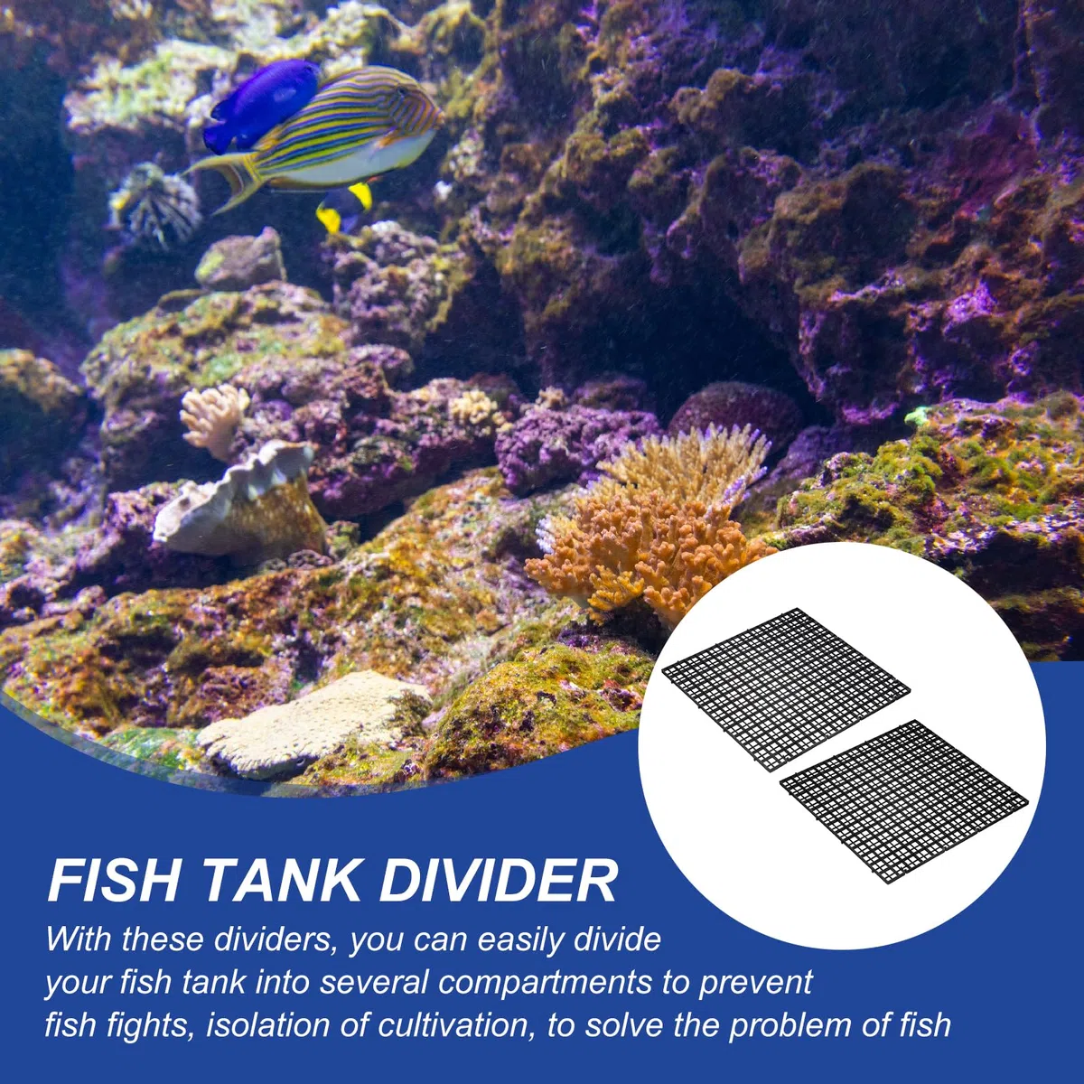 QUARKZMAN 4Pz Divisori per Acquario 30x30 Cm Griglia Filtro Divisore Nero