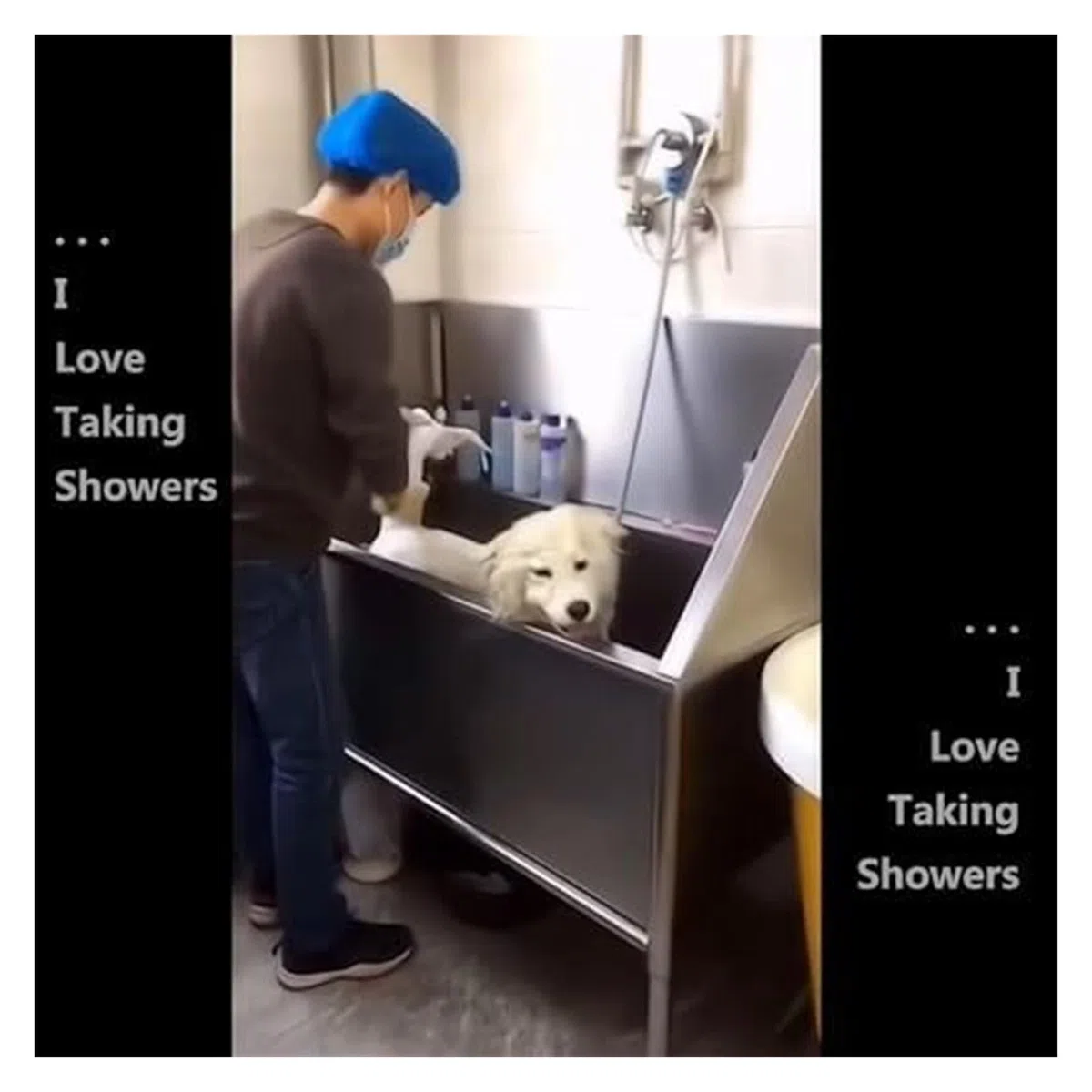 Vasca da bagno in acciaio inox per cani e gatti, profondità 30 cm, larghezza 80 cm, ideale per uso domestico, piscina o toelettatura professionale