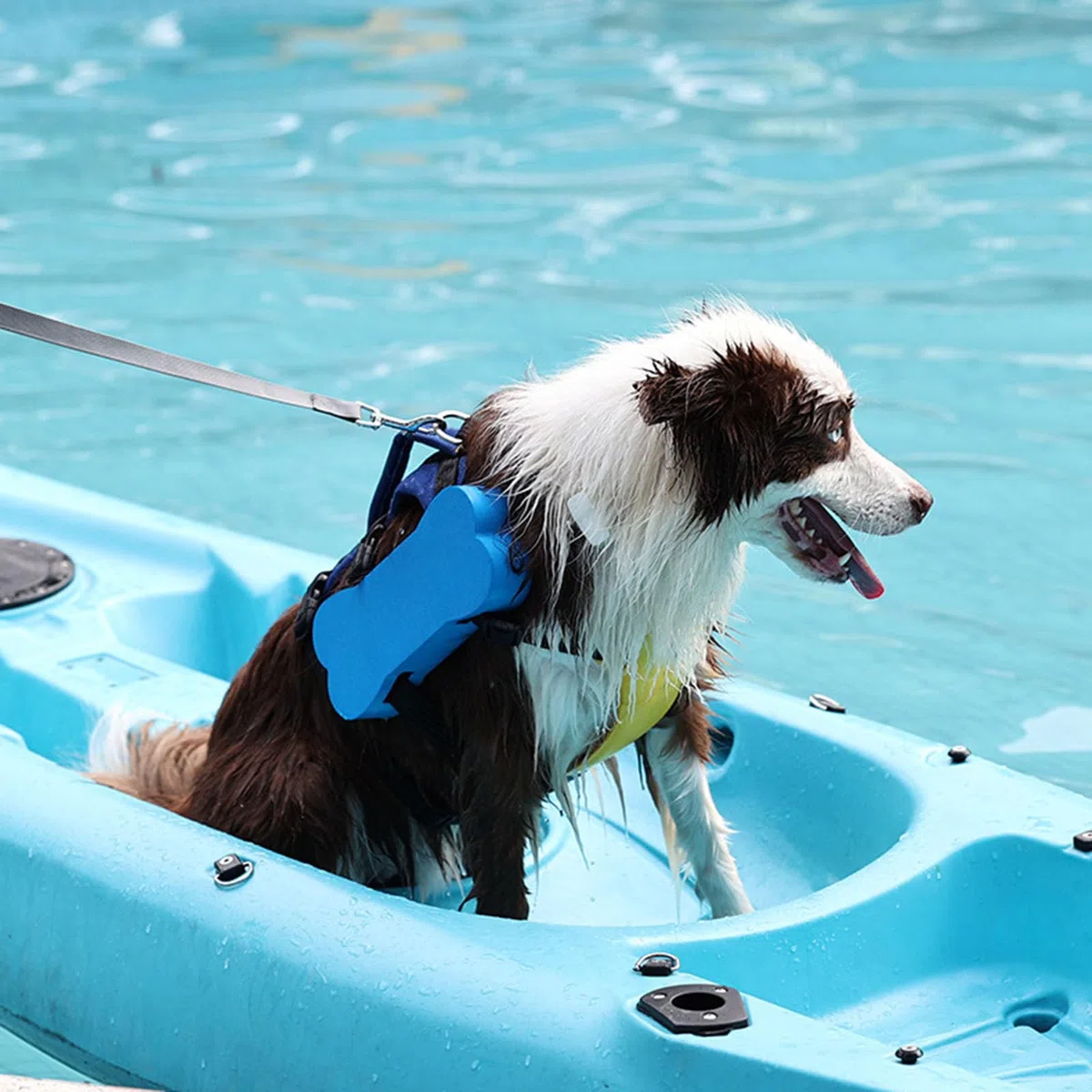 Costume da bagno per cani con maniglia di salvataggio di galleggiamento superiore Dispositivo di galleggiamento per nuoto Gilet di salvataggio per nuoto galleggiante Grande dispositivo