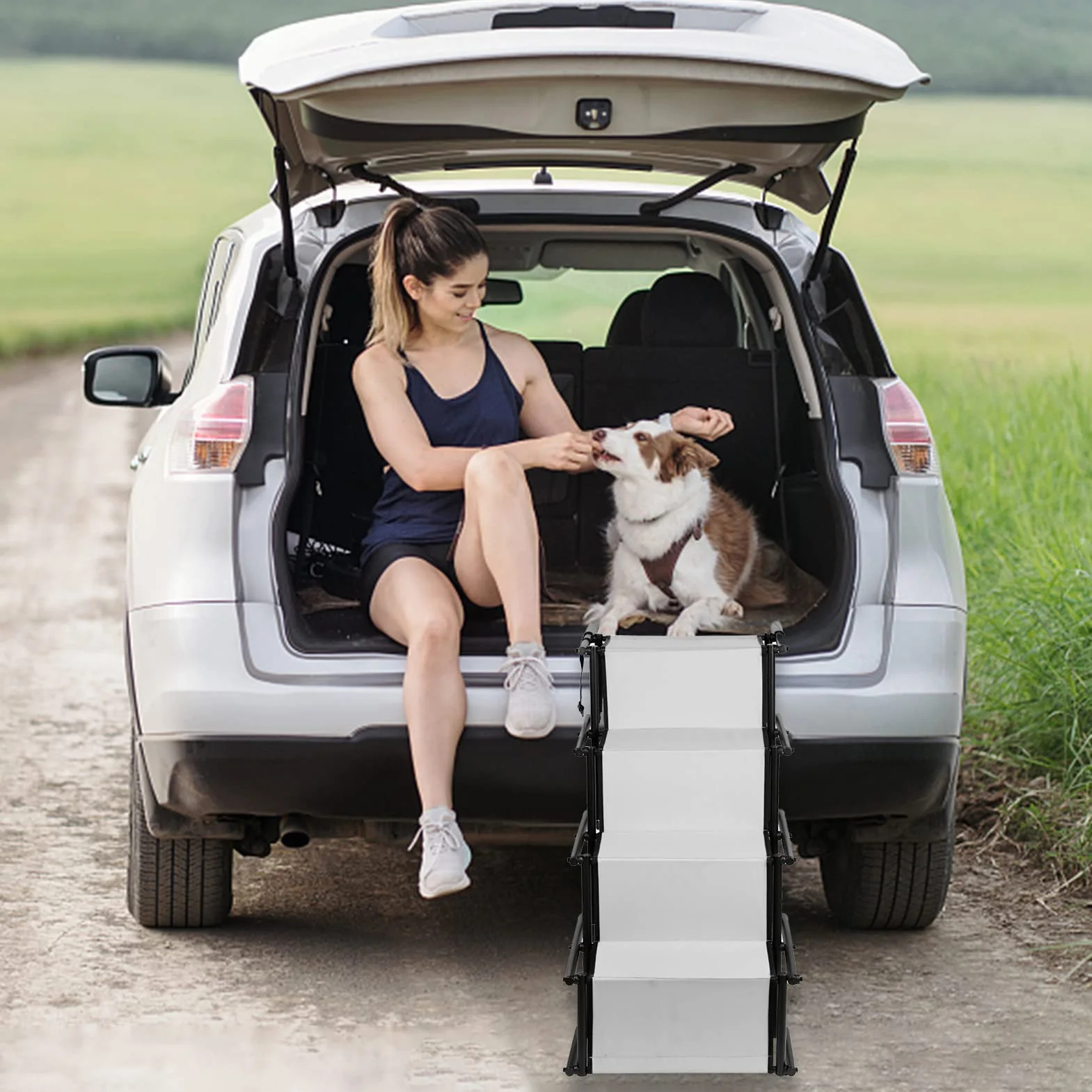 Cannoli Rampa per Auto per Cani, Scaletta per Cani, adatta per cani di grandi e piccoli - Il telaio in acciaio può sopportare 60 kg (139 * 45 * 76 cm - grigio chiaro)
