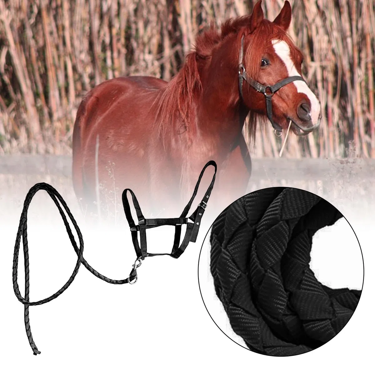 Cavezza con Redini, in Nylon, Regalo, Accessori per Equitazione, Finimenti per, Attrezzatura
