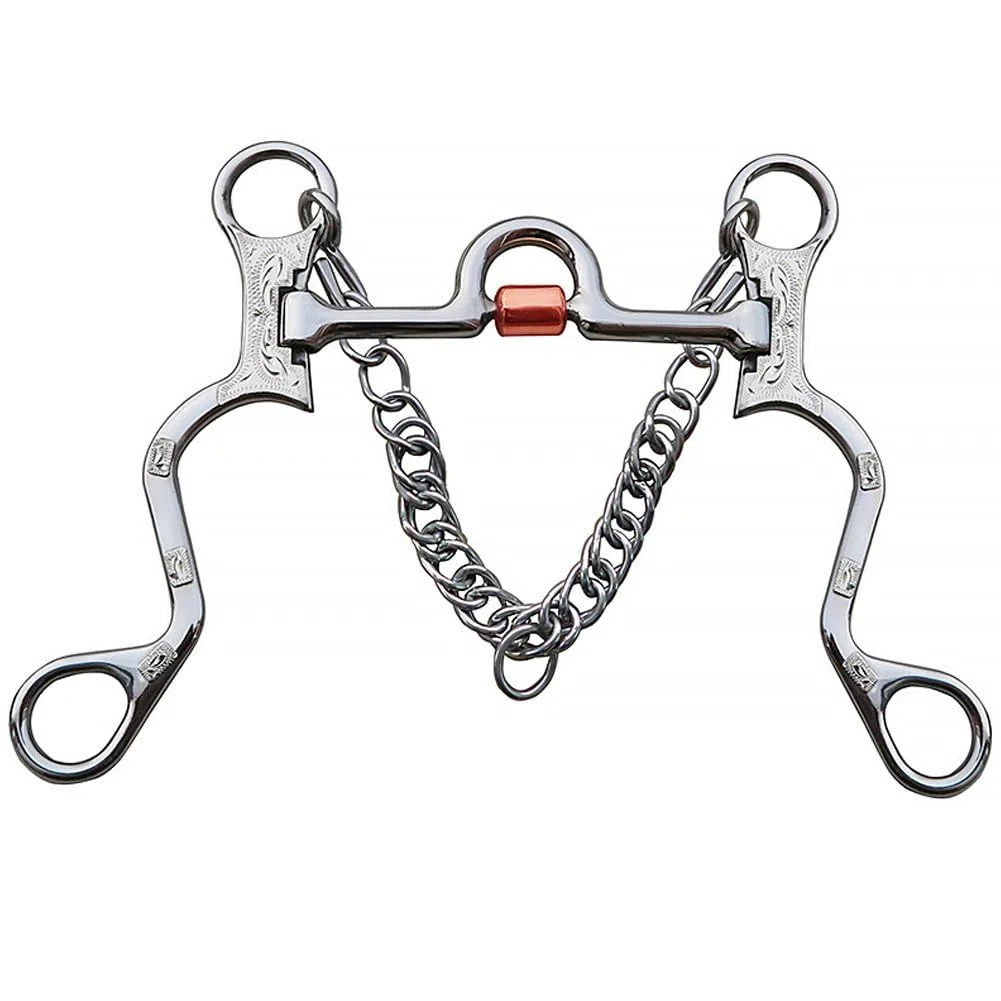 Dianzan Morso per Cavallo a Guance Piene, Morso a Snodo con Catena in Acciaio Inossidabile, Accessorio per Finimenti Equestri.
