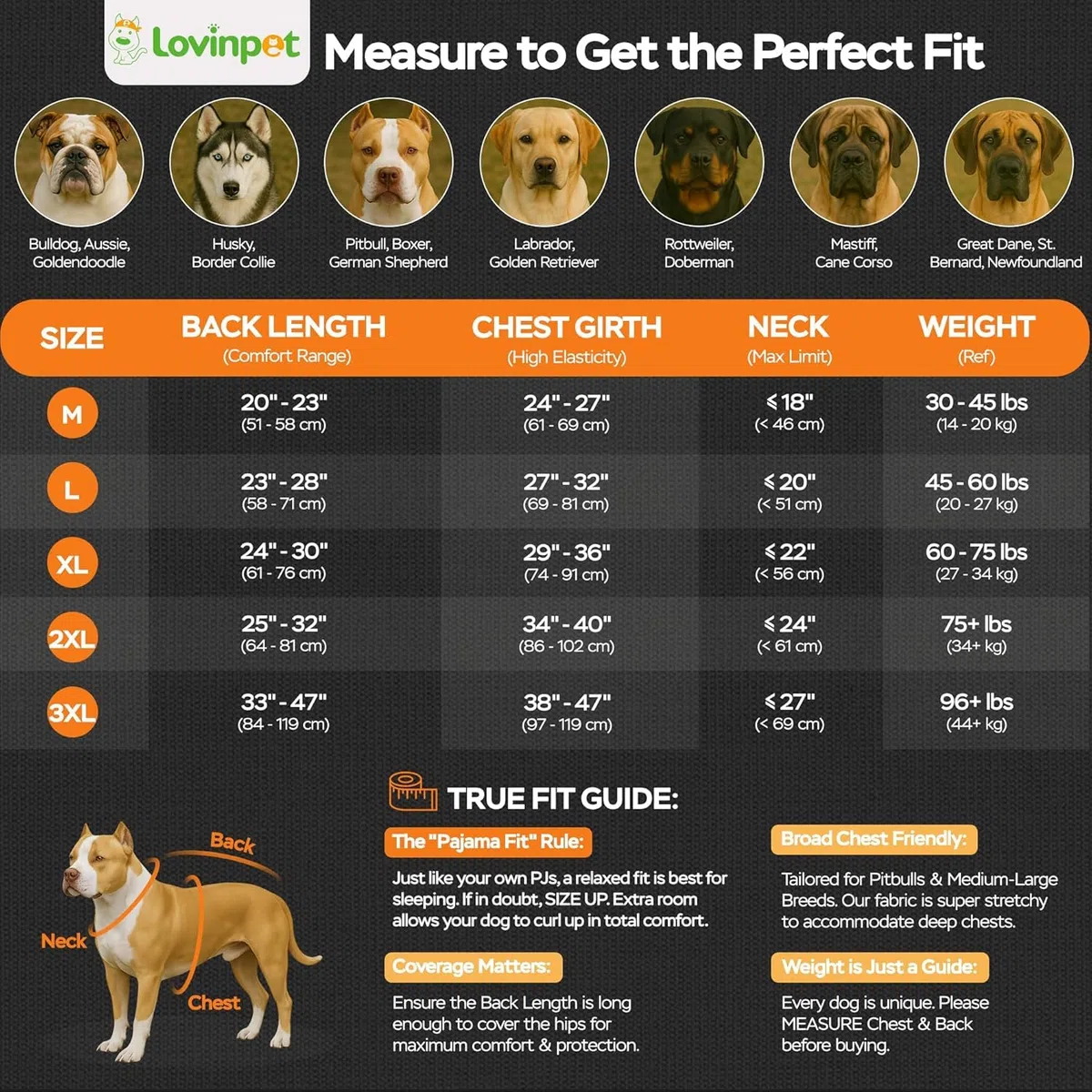 LovinPet Body per cani grande con ali, stampa a pois verde chiaro rosa, XXL