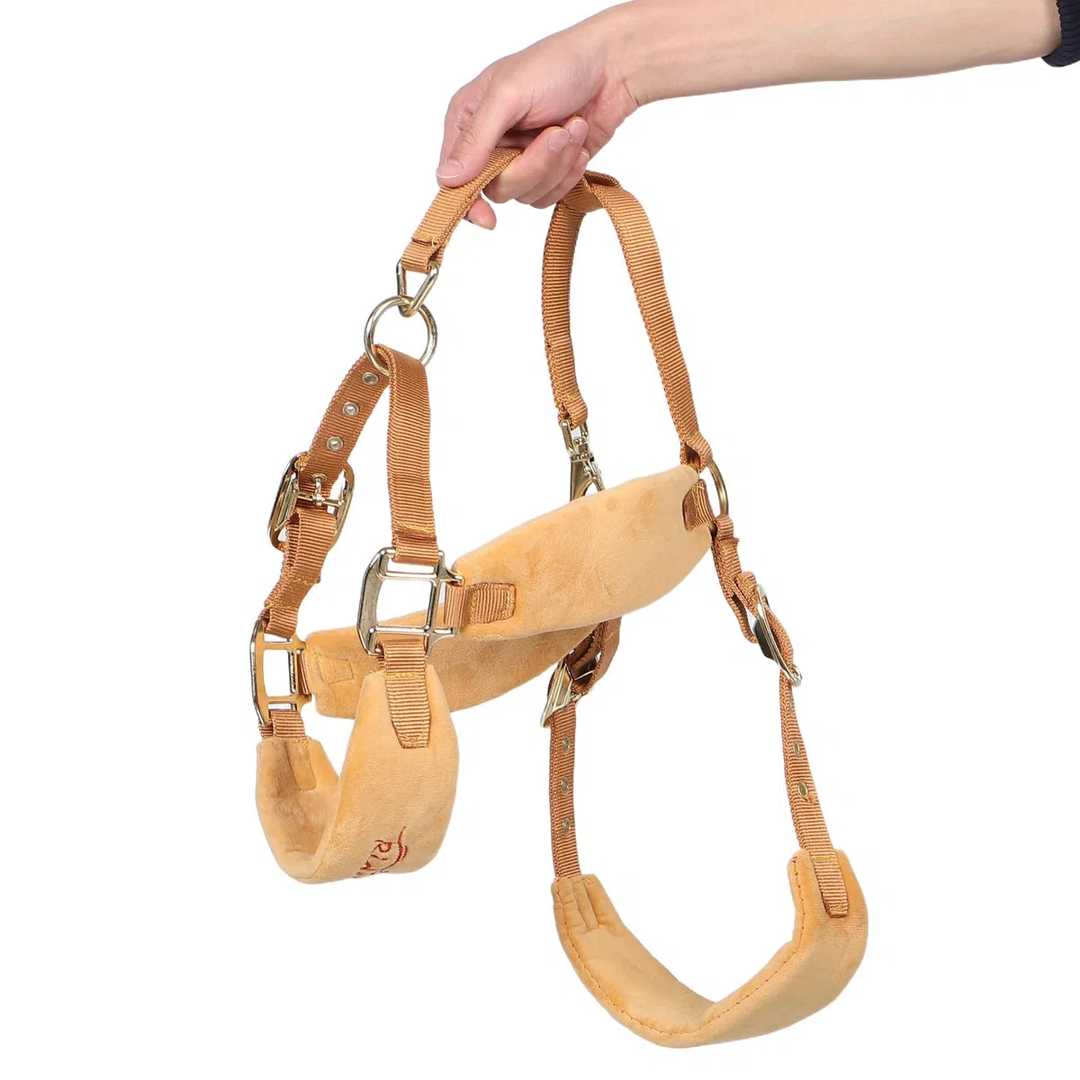 Cavezza per Cavallo Corda Intrecciata, Regolabile, Pu, Equitazione