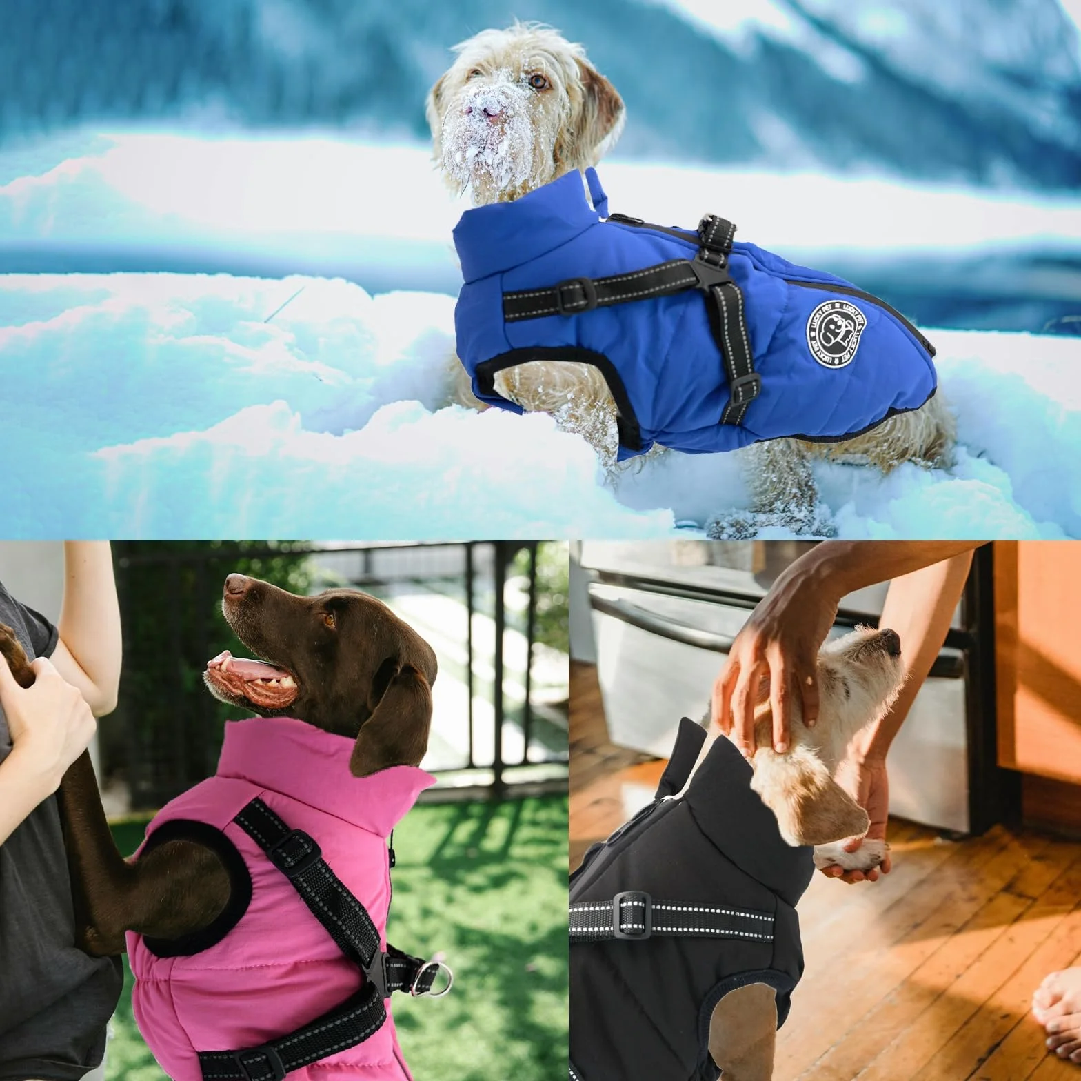 Cappotto impermeabile per cani con imbracatura integrata, caldo cappotto invernale per cani,Giacca per cani di taglia piccola, media e grande