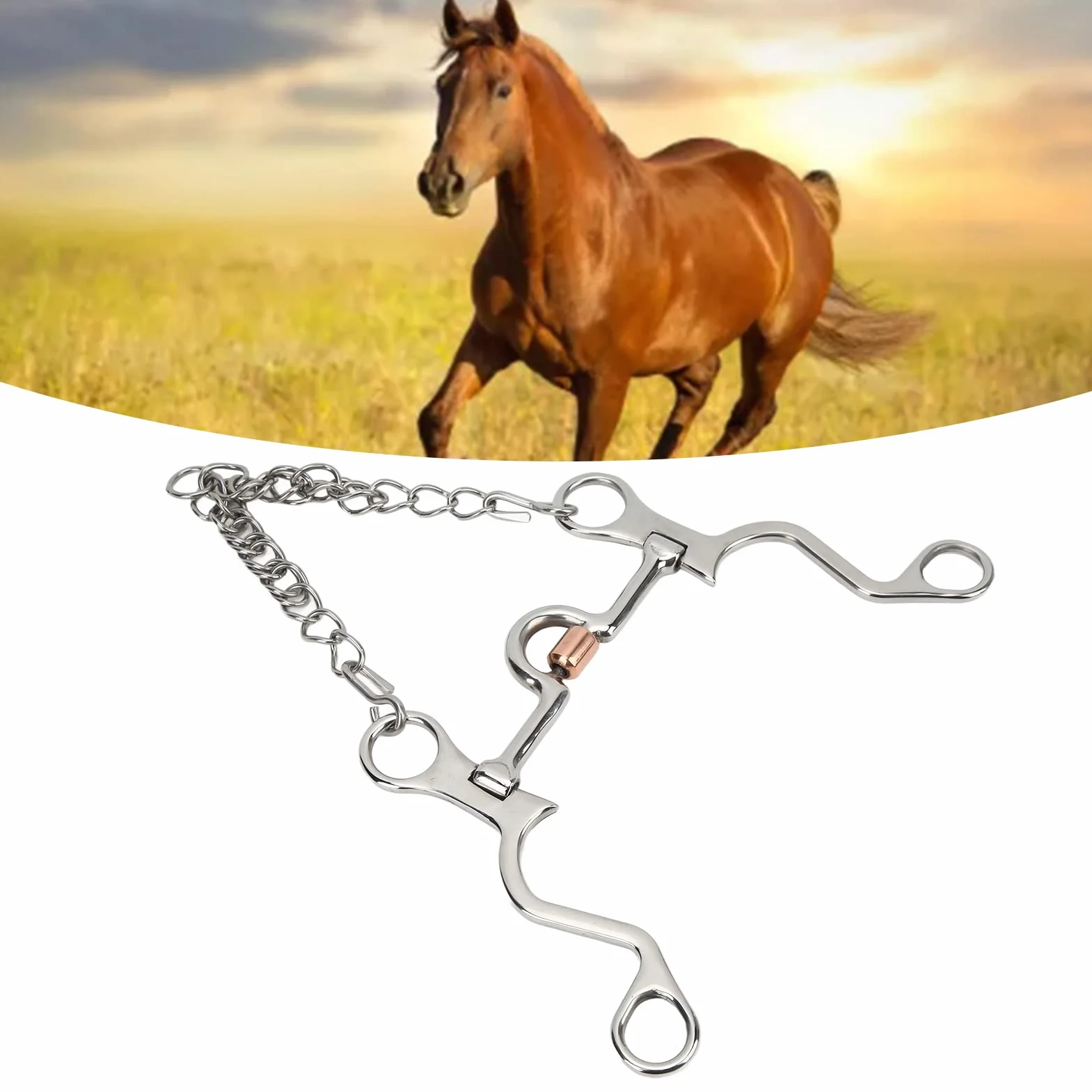 Bit Forte Punta da Cavallo in Acciaio Inossidabile di Pregevole Fattura per Prestazioni Equestri a Cavallo (-2113210007611)