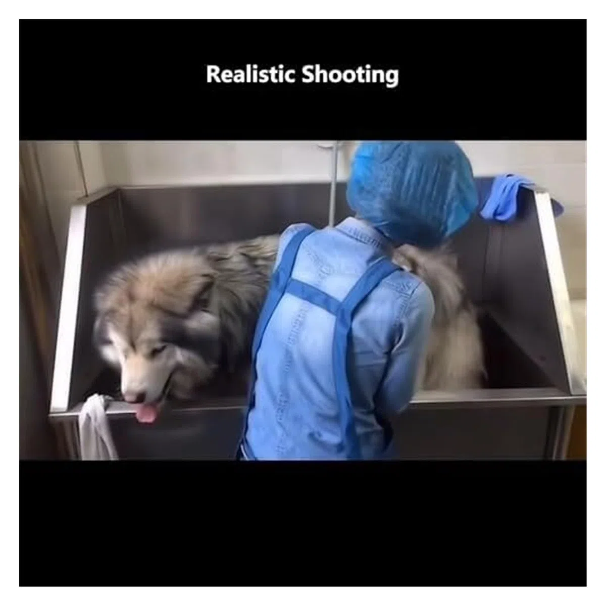 Vasca da bagno in acciaio inox per cani e gatti, profondità 30 cm, larghezza 80 cm, ideale per uso domestico, piscina o toelettatura professionale
