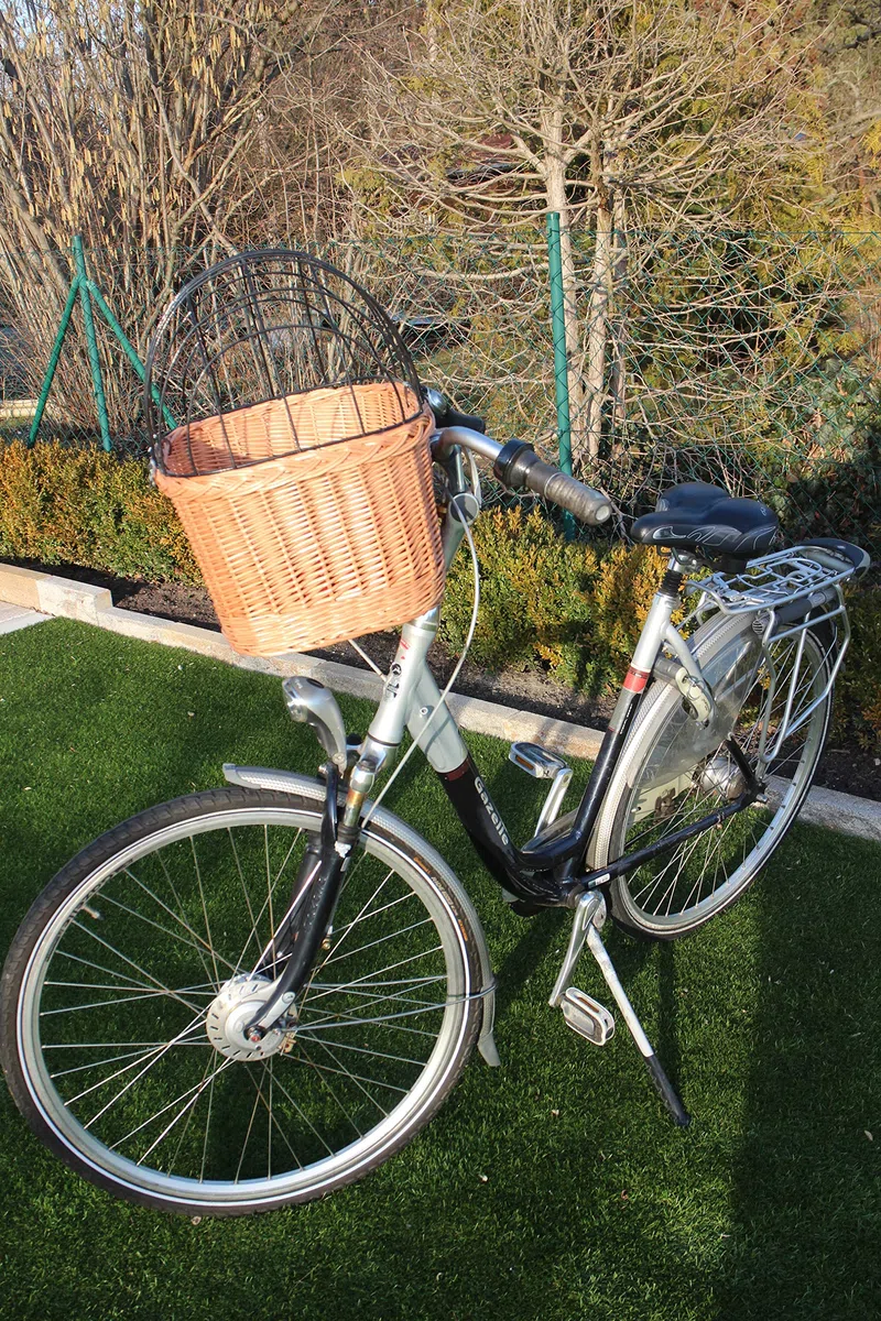 Cestino per bicicletta per cani in vimini con griglia in metallo e cuscino, XL o XXL, cestino per il manubrio, cestino per la spesa naturale (con cuscino)