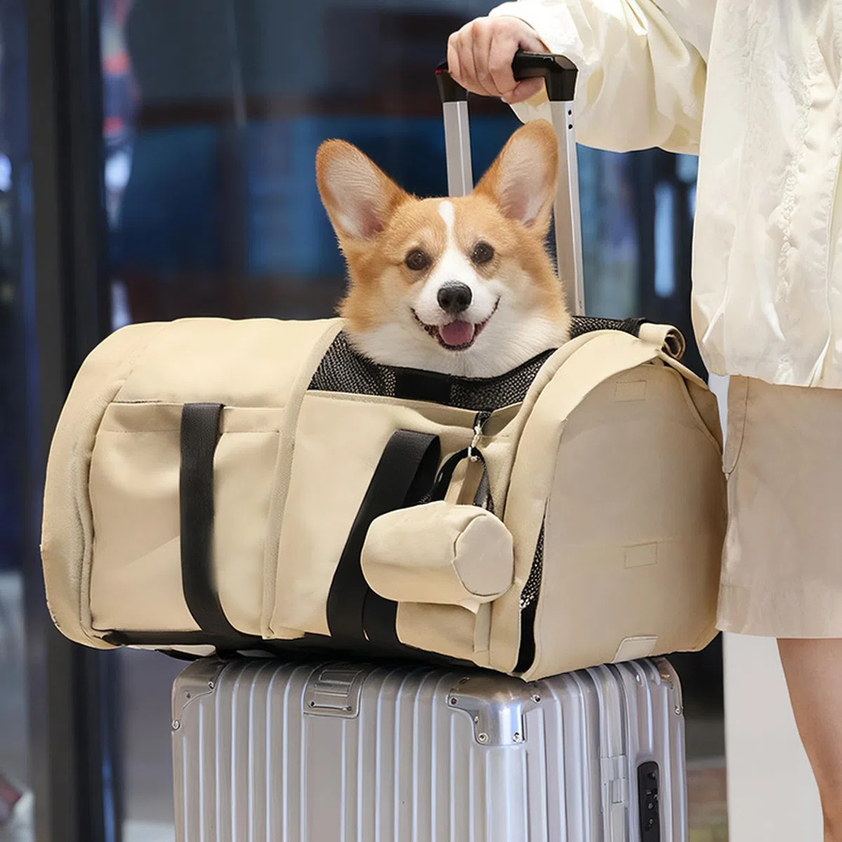 Zaini pieghevoli per cani, convertibili, in poliestere resistente agli strappi, per escursionismo, campeggio, viaggio, borsa impermeabile per cani