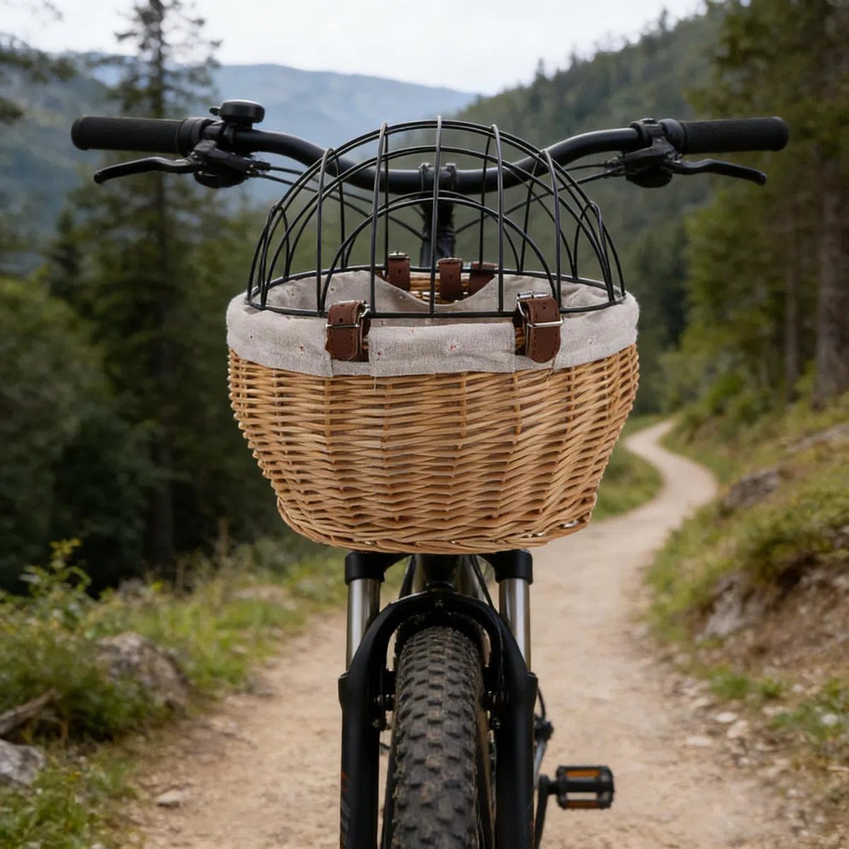 PACKOVE Cestino Spazioso Animali Rattan e Intrecciato Bicicletta Le da in Struttura in Ferro, Facile da Installare per Cani e Gatti Durante Uscite in Città
