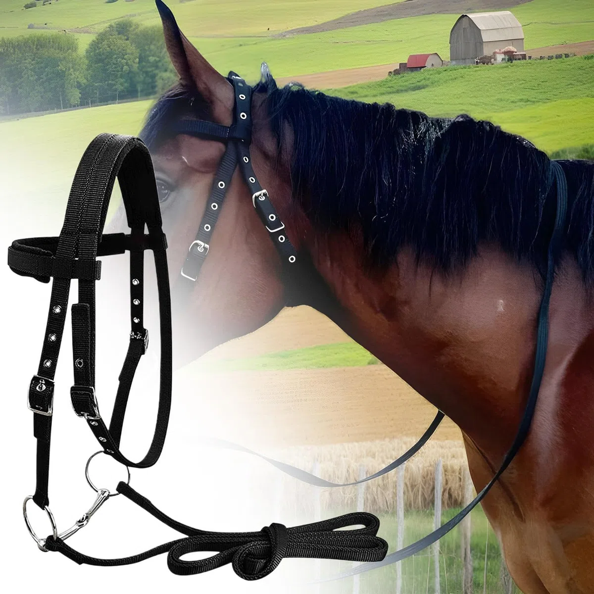 Cavezza per cavallo con fibbia, briglia da allenamento per cavalli, corda regolabile con 3 fibbie, cinghia con chiusura a gola, per appassionati di equitazione che riducono l'attrito