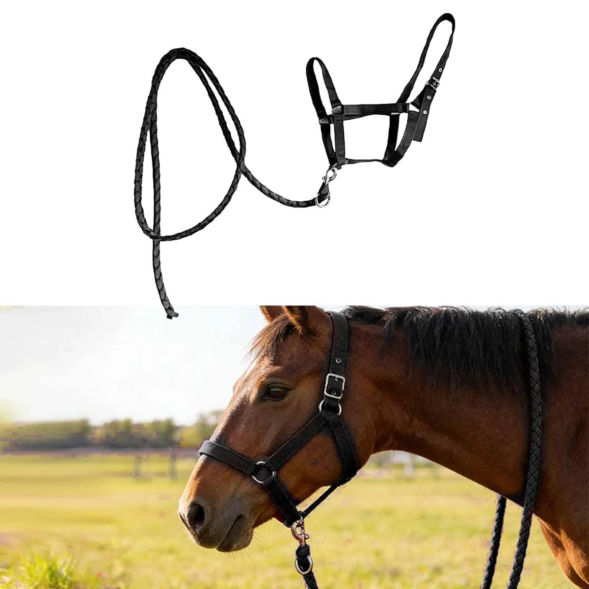 Cavezza con Redini, in Nylon, Regalo, Accessori per Equitazione, Finimenti per, Attrezzatura