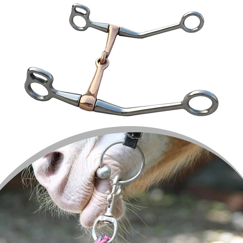 Morso morso completo in acciaio inossidabile con bocca in rame per cavallo Tack Attrezzatura da equitazione inglese briglia in metallo accessorio dimensioni 12x18cm