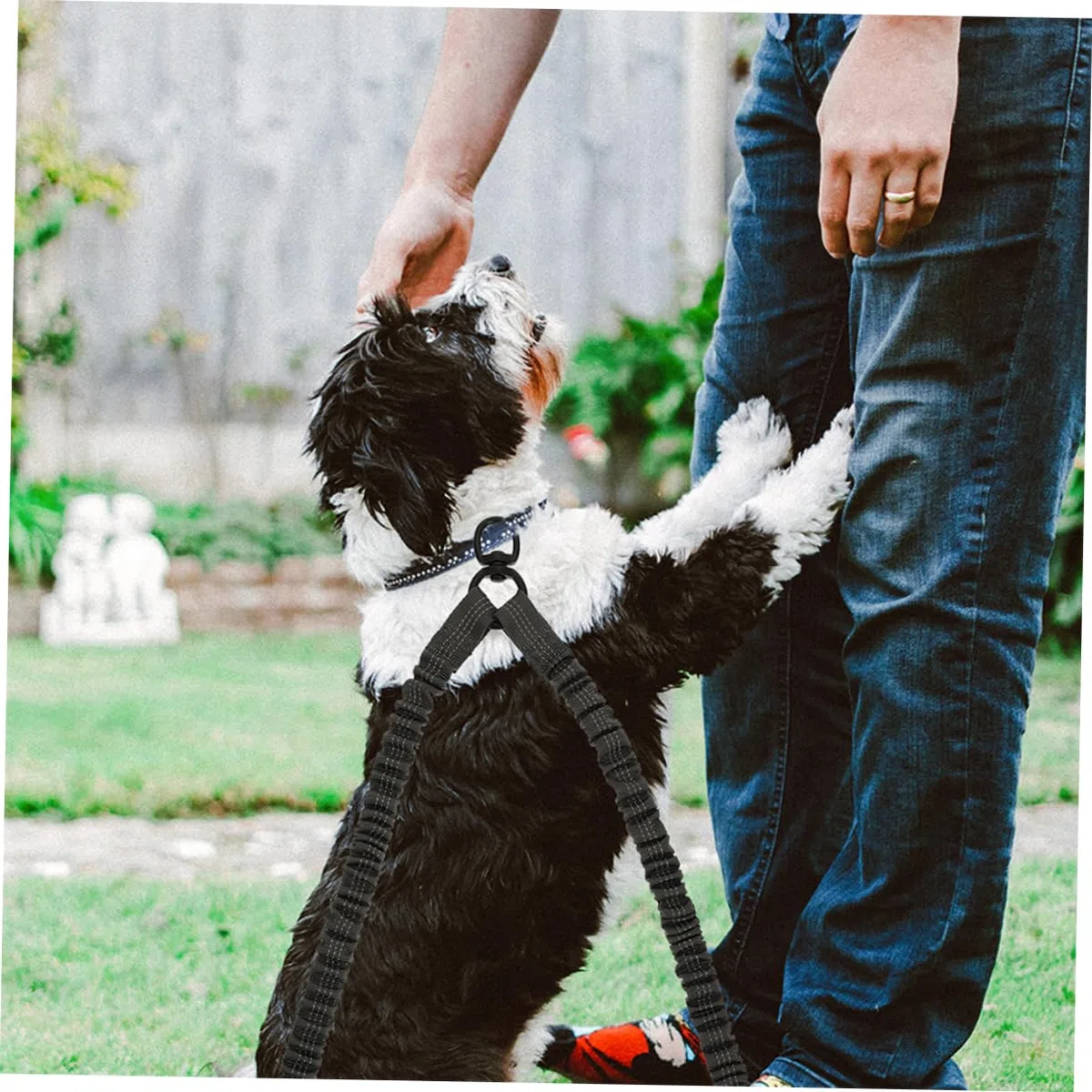 3 Guinzaglio Riflettente per Design Elasticizzato Guinzaglio per Passeggiate Sicure e Adatto per Attività All con Animali Domestici