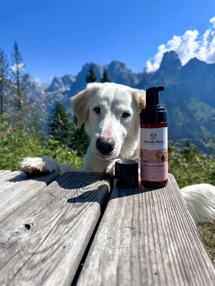 Mousse Detergente per Cani Senza Risciacquo – Igiene del Pelo