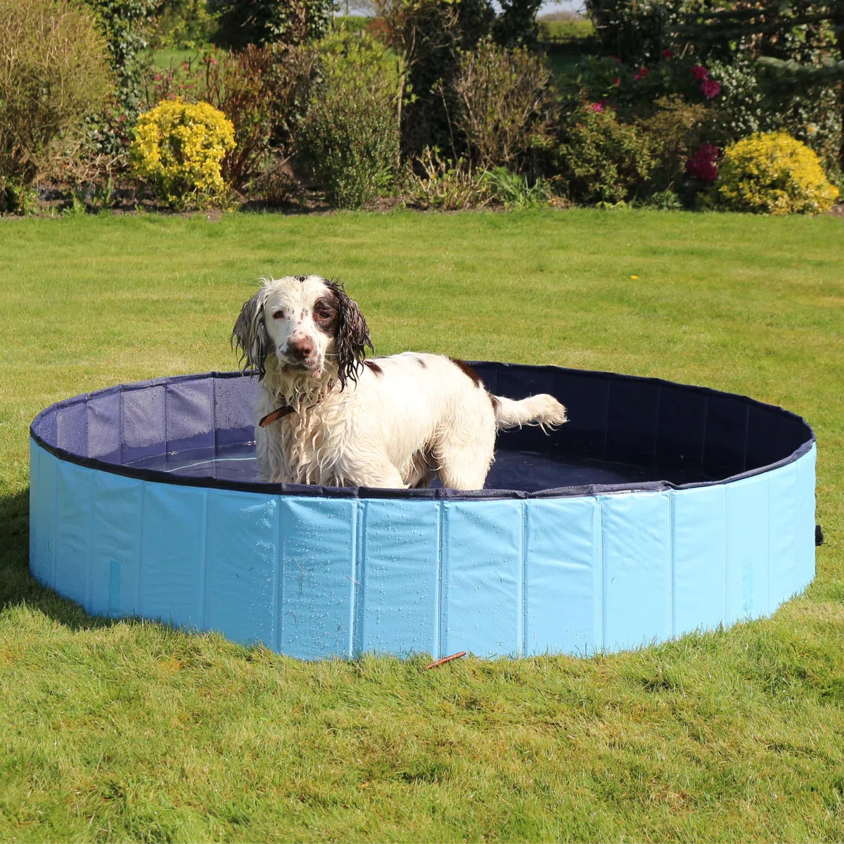 Rosewood Cool Down - Piscina per Cani, 120 x 30 cm, Media