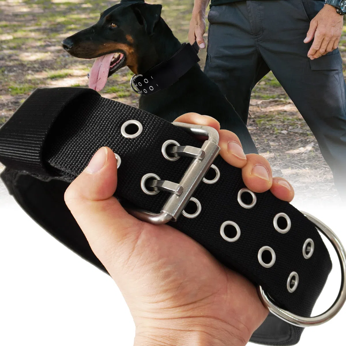Collare per cani di taglia grande, nero resistente, per cani di razza Gint, largo 5,1 cm con manico, in nylon resistente e hardware inossidabile, ottima scelta per cani di taglia grande 55,9-68,6 cm