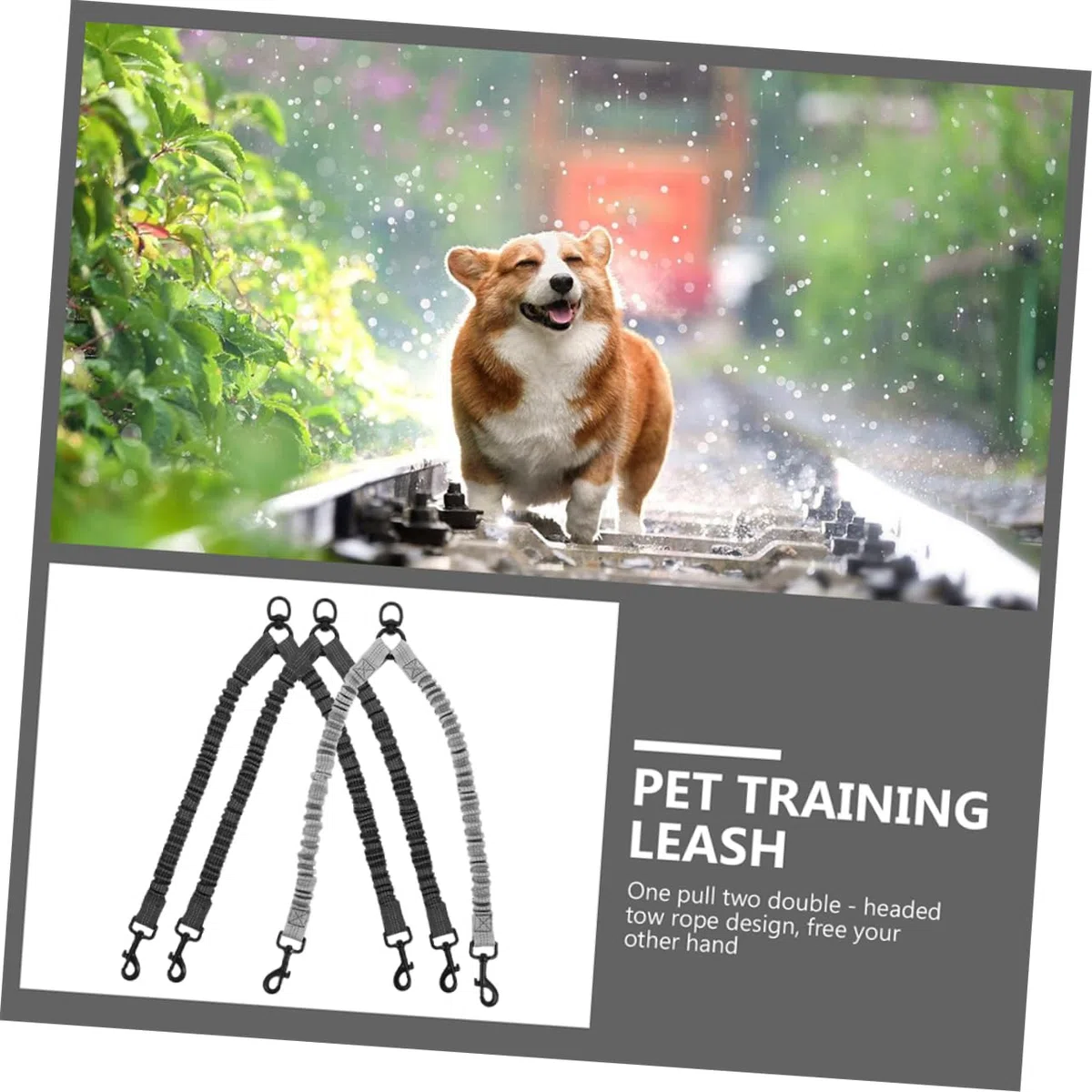 3 Guinzaglio Riflettente per Design Elasticizzato Guinzaglio per Passeggiate Sicure e Adatto per Attività All con Animali Domestici