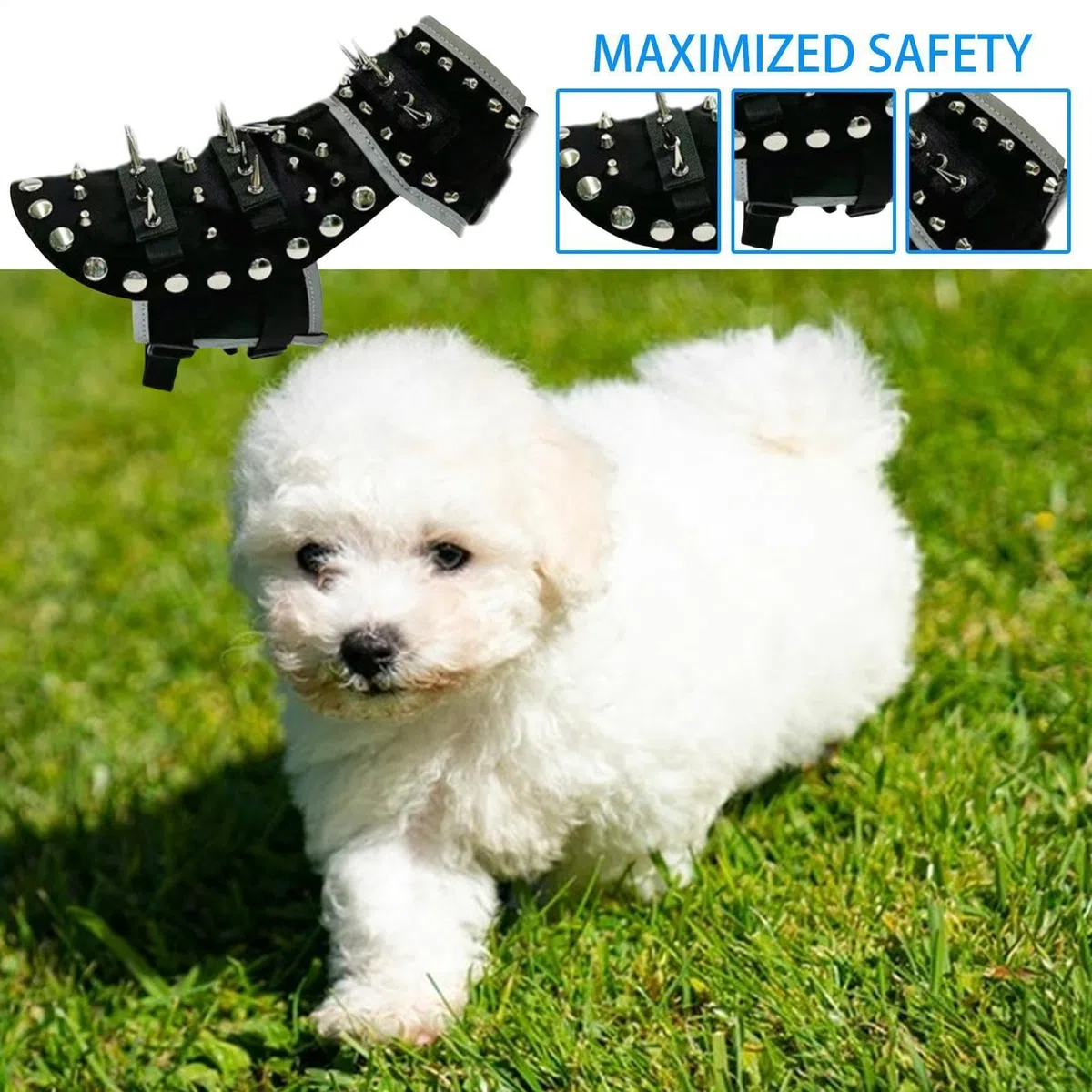 Spillo Dog Vest riflettente Anti Coyote Raptor Dog Protection Vest