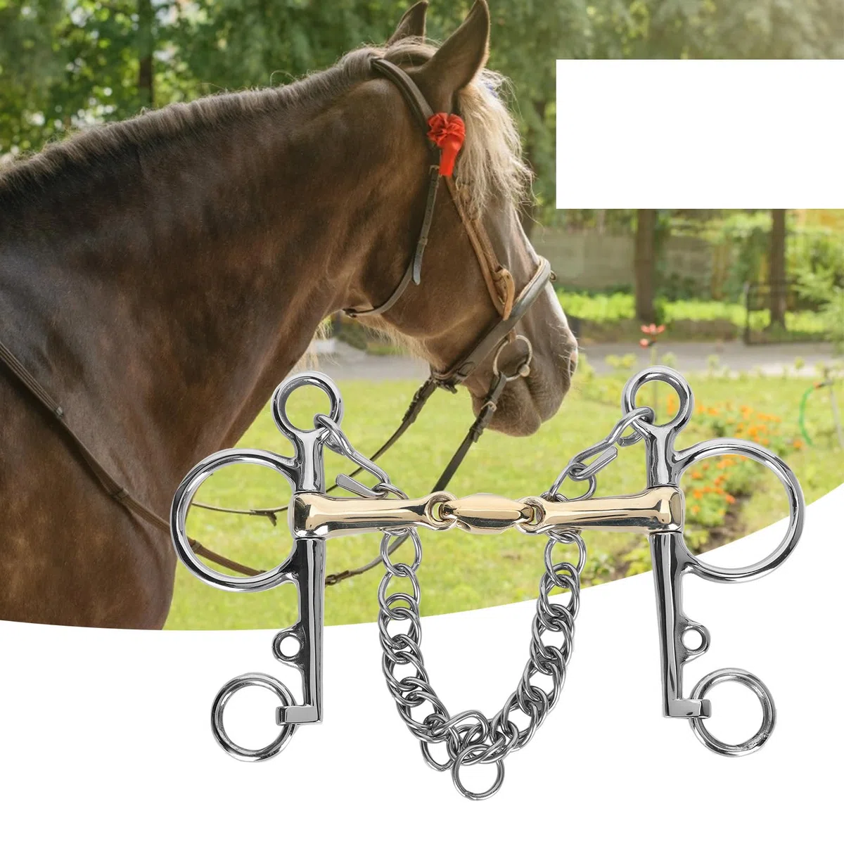 Pelham Bit Accessory | Bocchino per cavallo in acciaio inox 4 cm | Morso a bocca in ottone con decorazione a catena per equitazione e allenamento