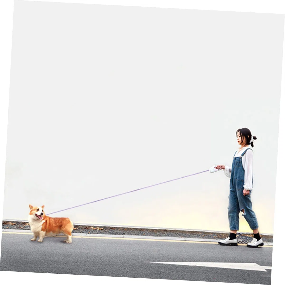 Toyvian Guinzaglio Retrattile per Regolabile Materiale Resistente Guinzaglio per Attività Controllo Facile Sicuro per Animali Domestici