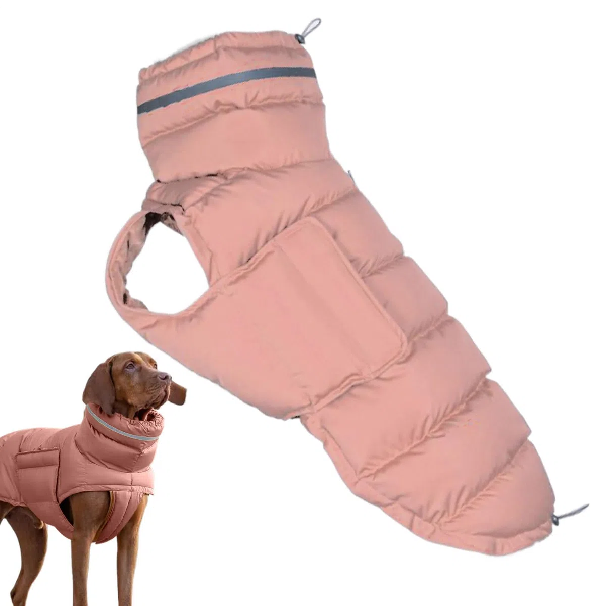 Cappotto invernale per cani Abbigliamento per il freddo