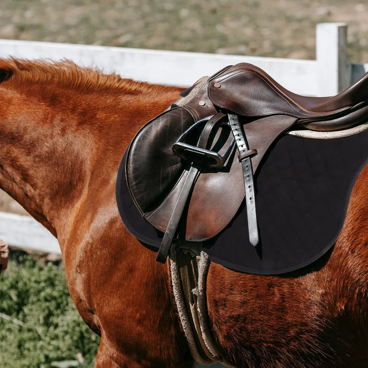 PRETYZOOM Sottosella di Equitazione Ottimale in Eva e Cotone Antiscivolo per Cavalli con Alta Resistenza e Comfort Colore Nero