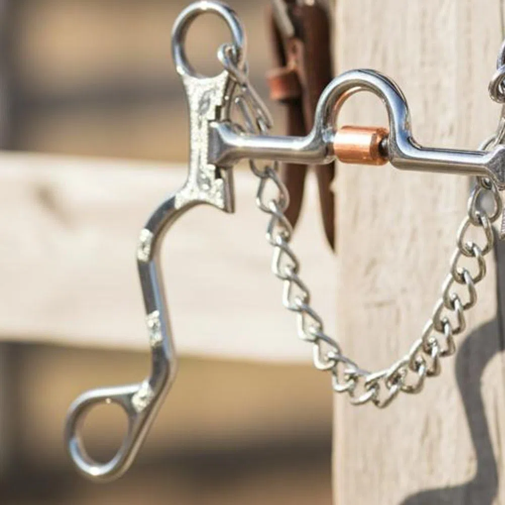 Dianzan Morso per Cavallo a Guance Piene, Morso a Snodo con Catena in Acciaio Inossidabile, Accessorio per Finimenti Equestri.