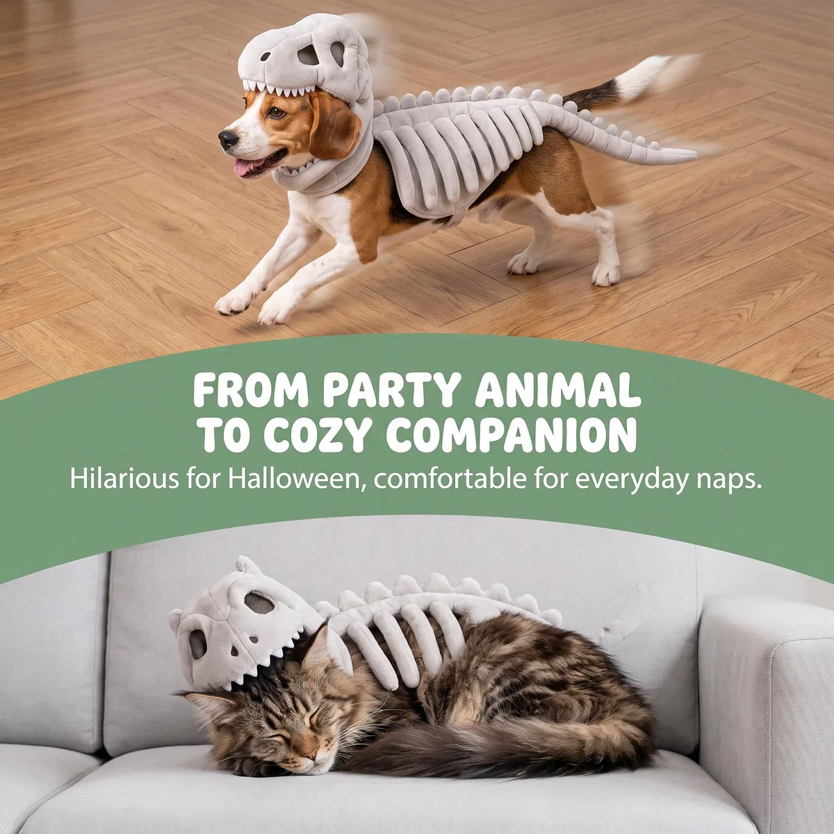 Costume da dinosauro per cane, scheletro per animali domestici, C: XXL
