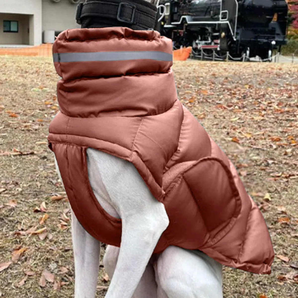 Cappotto invernale per cani Abbigliamento per il freddo