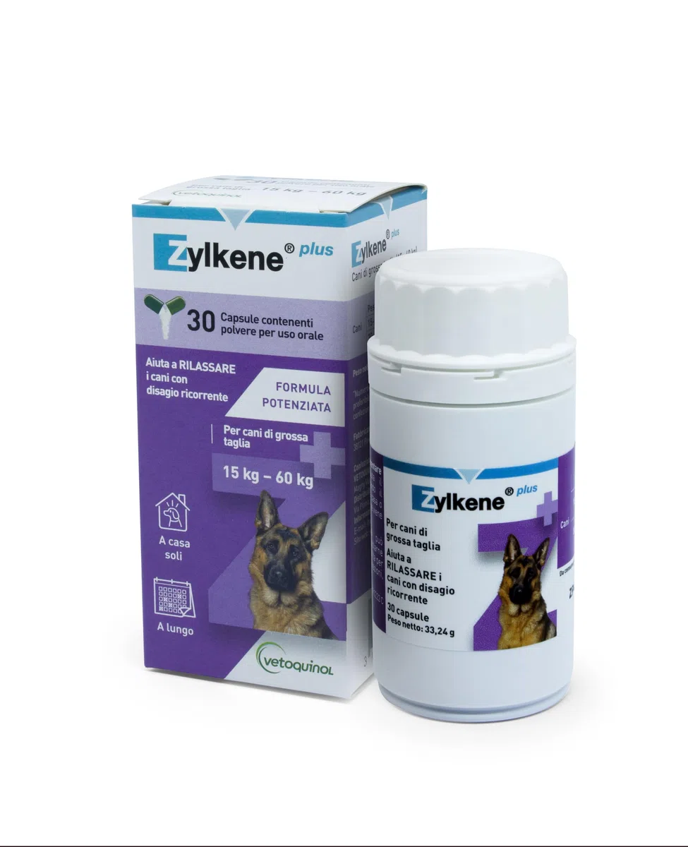 Zylkene Plus Mangime Complementare | Cani di taglia grande (15-60 kg) 450 mg | Promuove il rilassamento nelle situazioni di disagio nel lungo termine: Soli a casa, Nuovi animali e neonati | 30 capsule