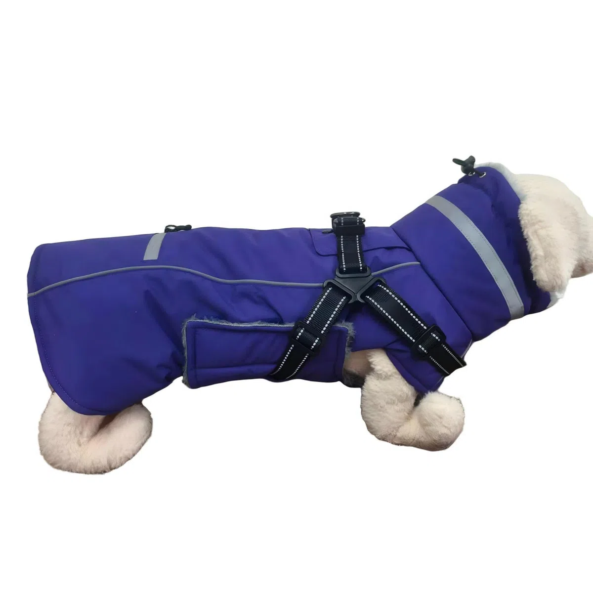 PETDSH Giacca invernale per cani, caldo cappotto per cani con riflettente