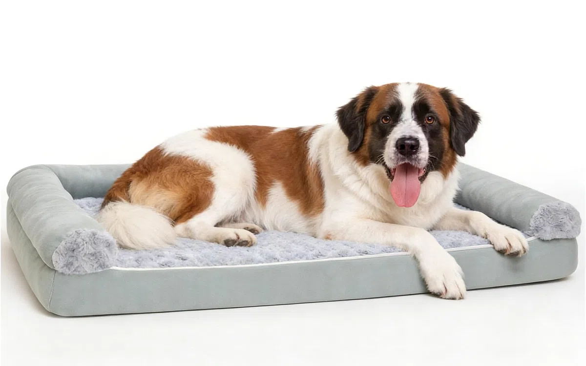 Cuccia ortopedica per cani, 120 x 90 x 20 cm,