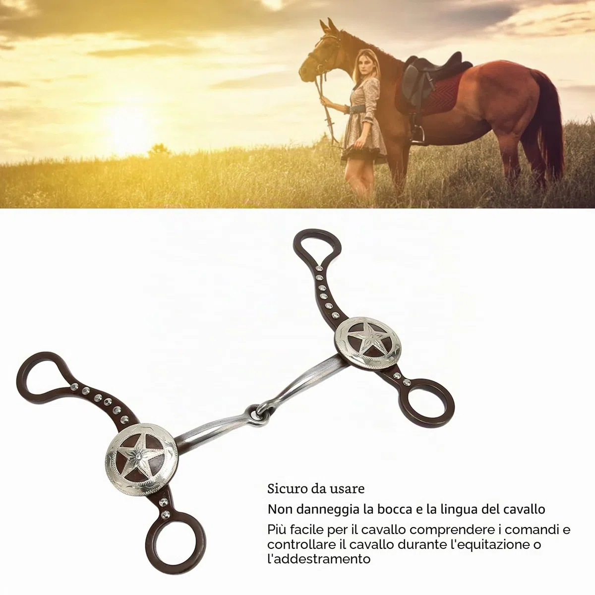 HEEPDD Morso per Muso di Cavallo, Bellissimo Morso Occidentale per Cavallo Antico in Acciaio Inossidabile per Corse di